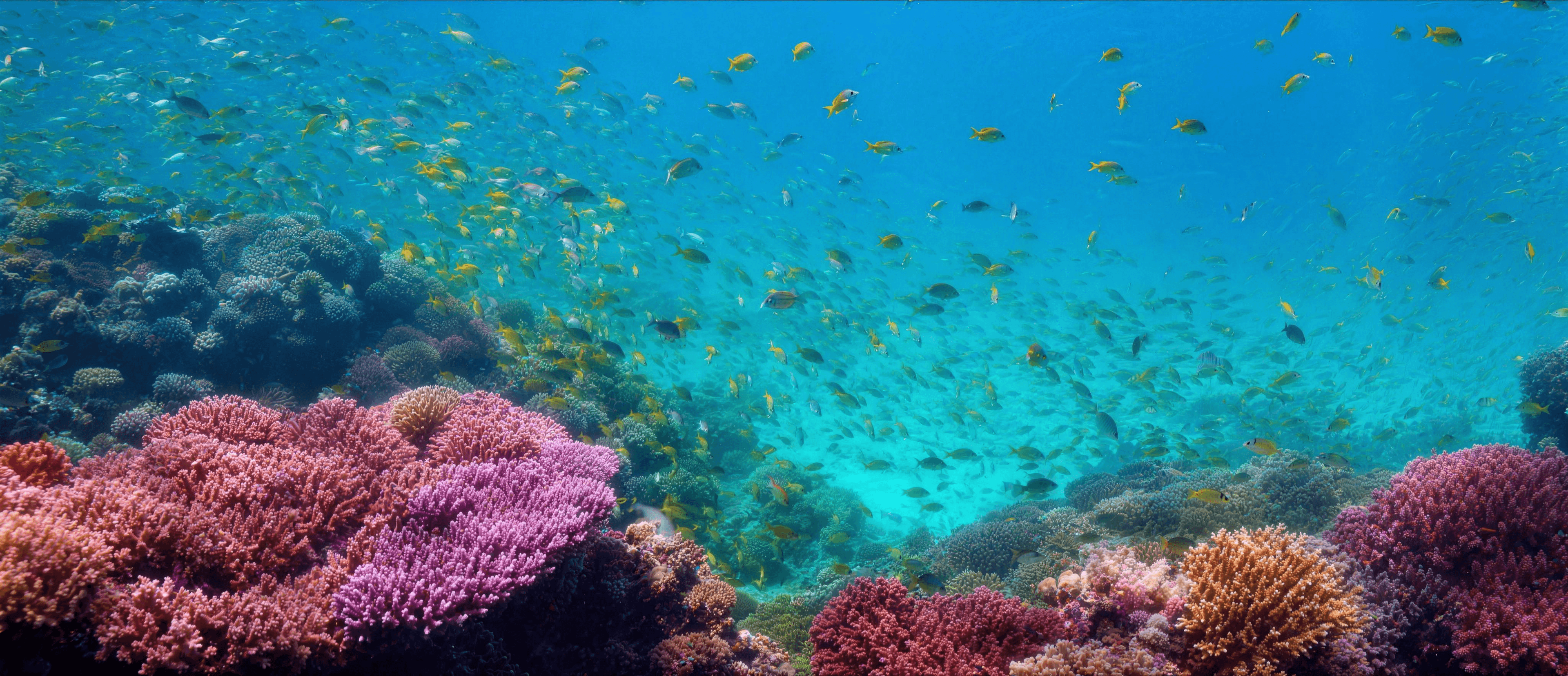 A vivid coral reef with schools of fish streaming through sunbeams